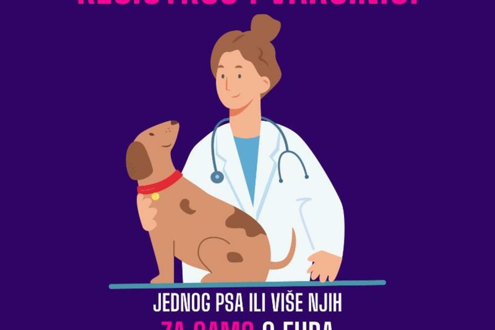 Udruženje Korina, Foto: Udruženje Korina