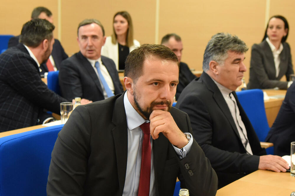Očekuju da će novi sastav Odbora biti efikasniji: Šušić, Foto: Luka Zeković
