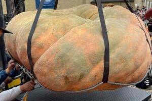Najteža bundeva na svijetu teška 1.250 kilograma