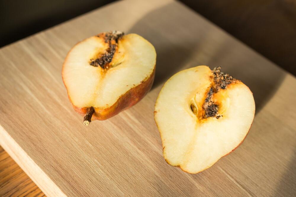 Ilustracija, Foto: Shutterstock