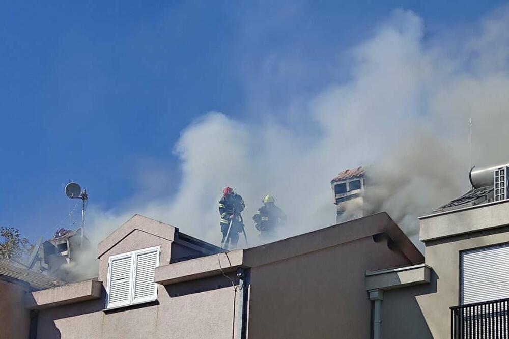 Požar u Tivtu, Foto: Radio Tivat