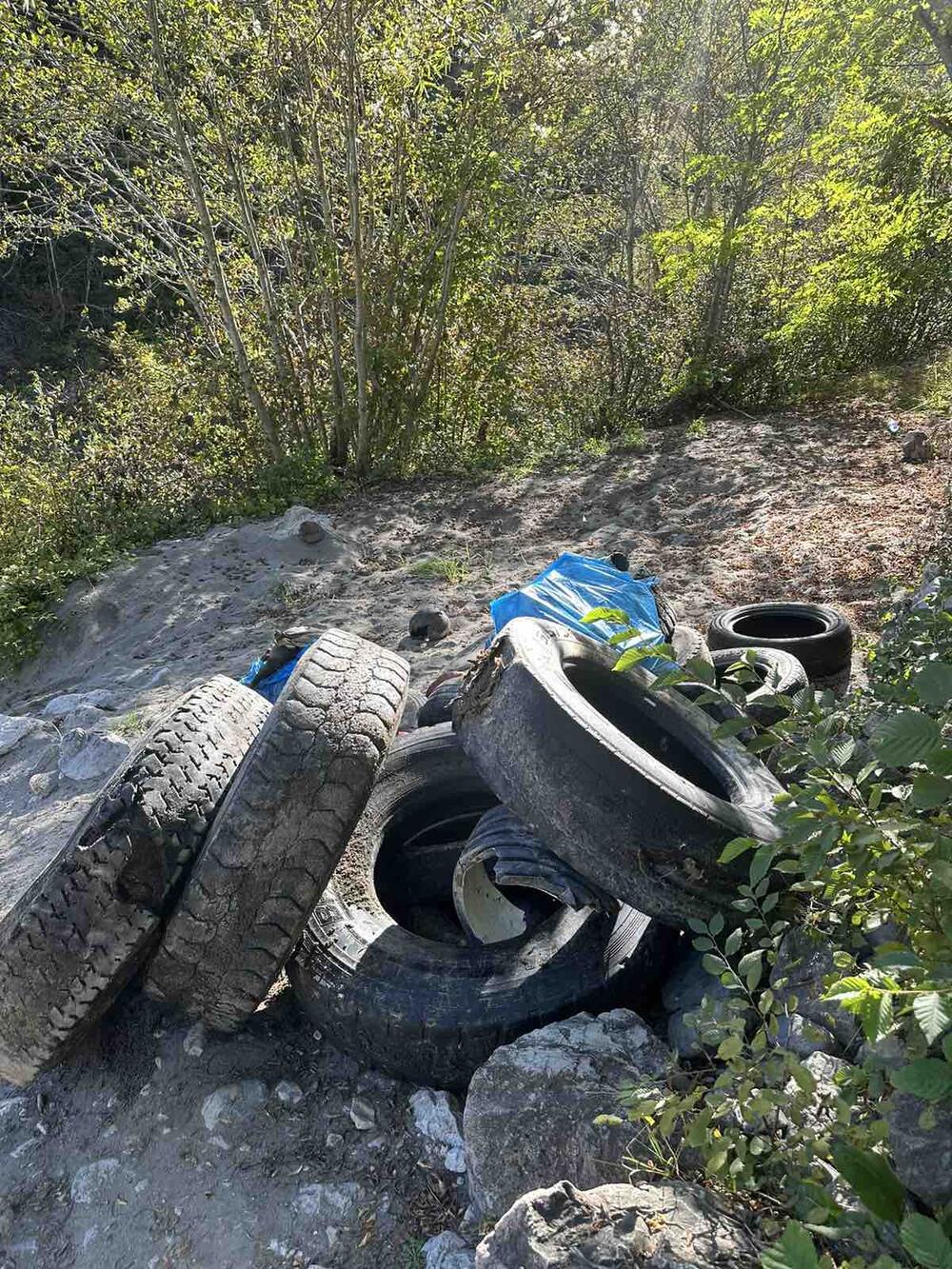 <p>U akciji čišćenja učestvuje 12 čamaca i oko 20 iskusnih skipera</p>