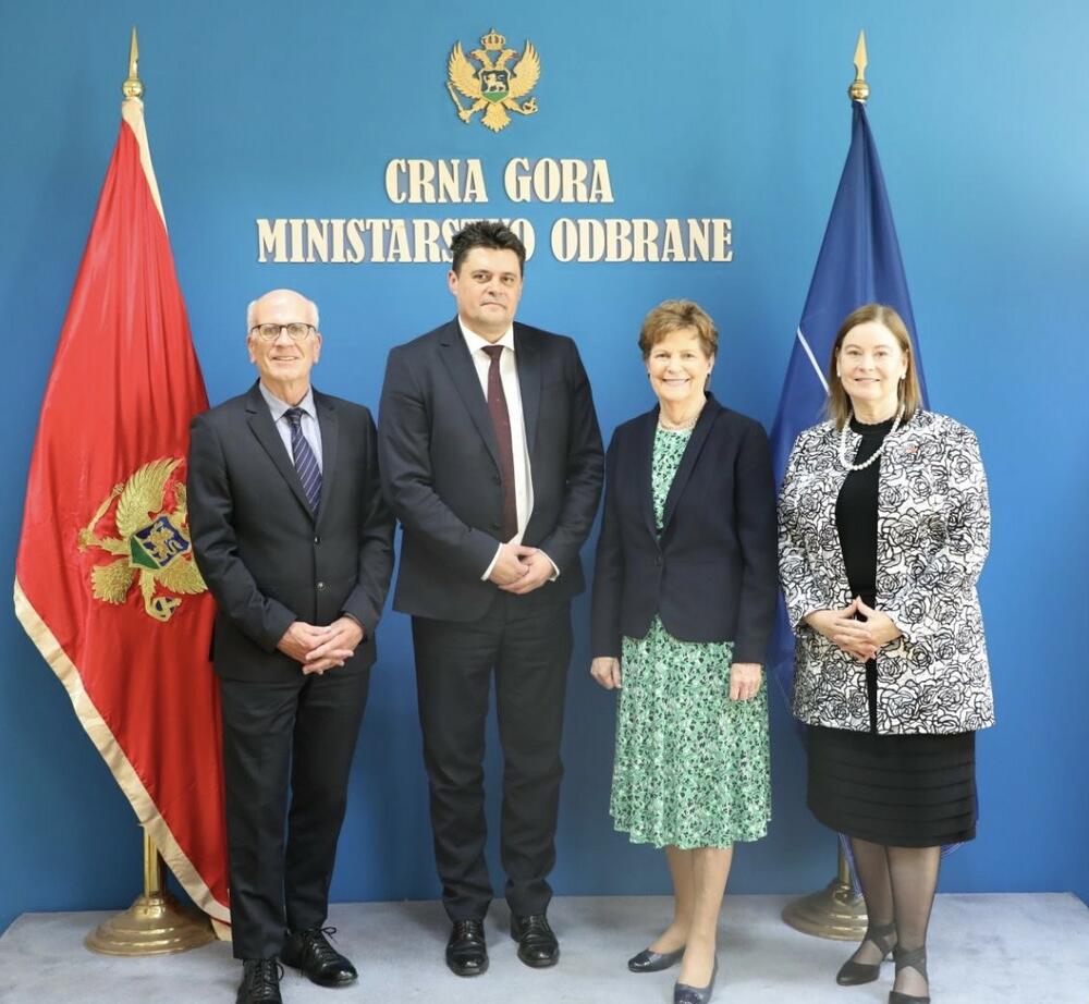 delegacija američkog Senata