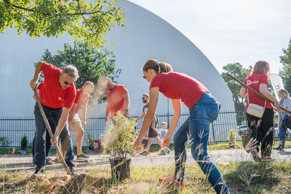 Foto: Lovćen osiguranje
