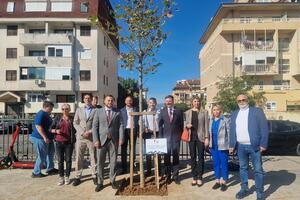 In the park at the Old Airport, a tree of gratitude was planted by the Ukrainian...