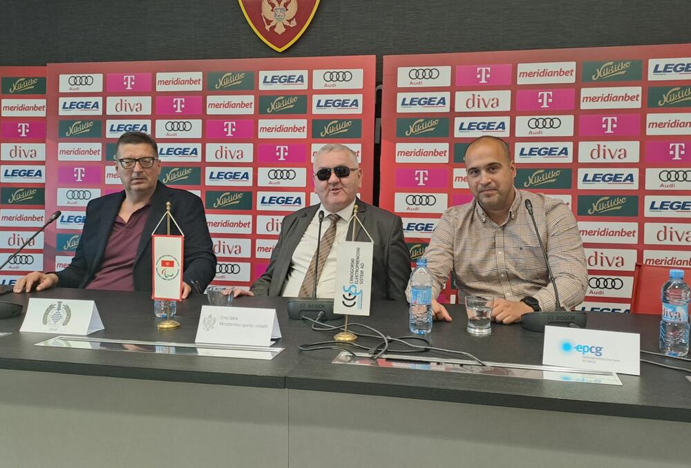 Predrag Nikač, šah