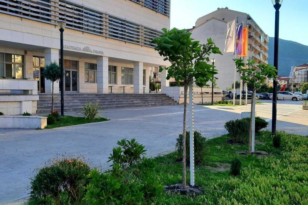 Zgrada Akademije znanja u Budvi, Foto: Vuk Lajović