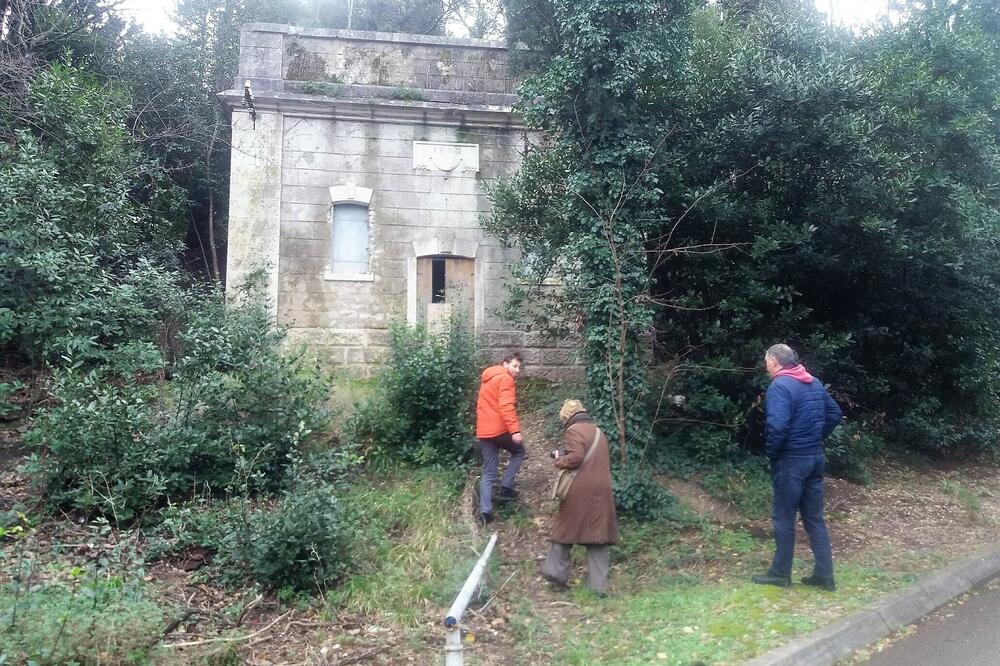 Objekat u Velikom gradskom parku, Foto: Siniša Luković