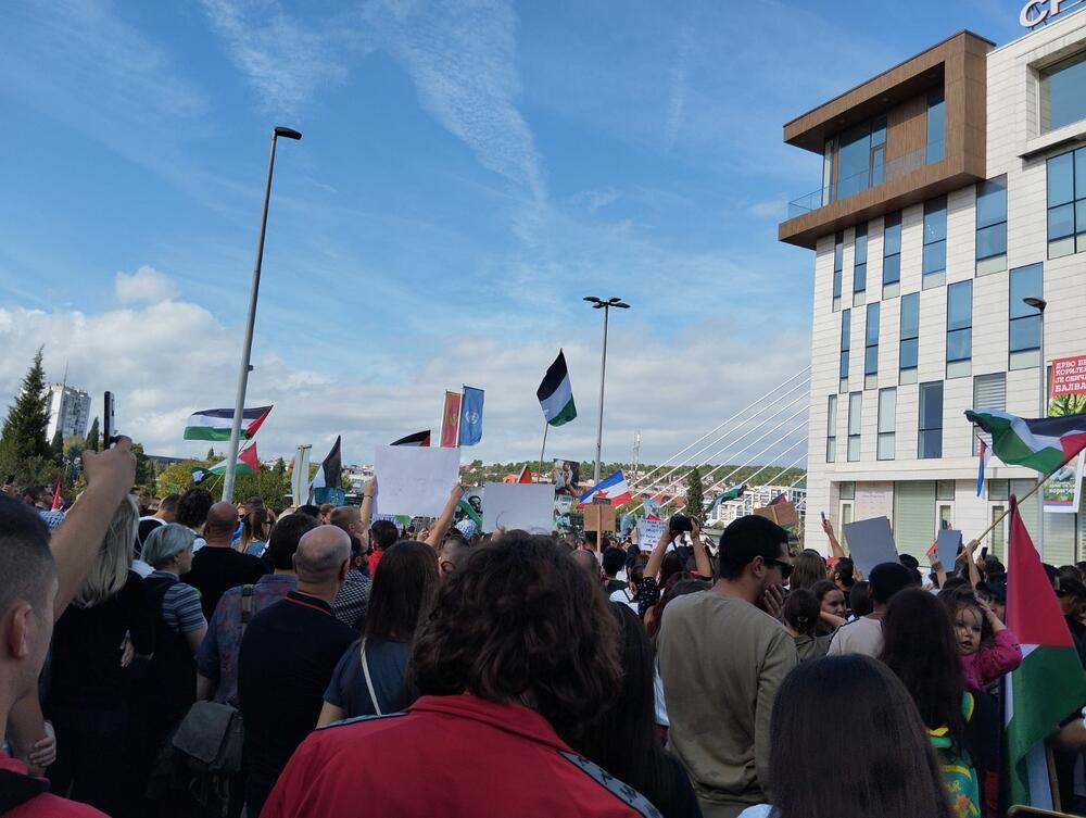<p>Organizatori protesta su studenti i mladi iz Crnogorsko-palestinskog društva</p>