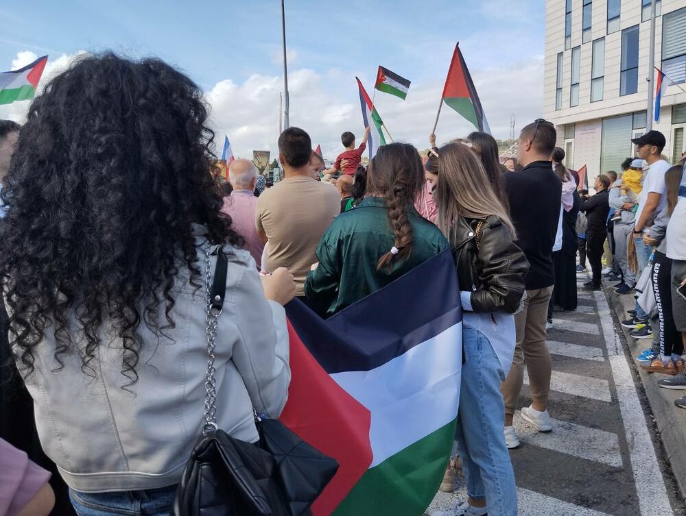 <p>Organizatori protesta su studenti i mladi iz Crnogorsko-palestinskog društva</p>