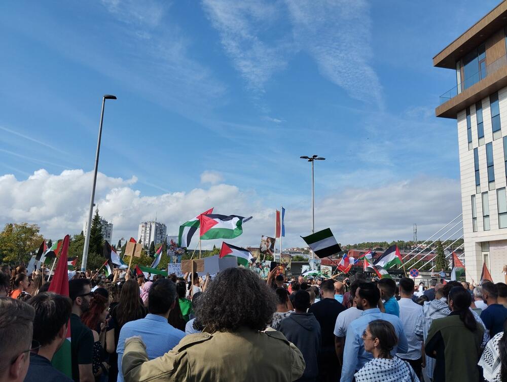 <p>Organizatori protesta su studenti i mladi iz Crnogorsko-palestinskog društva</p>