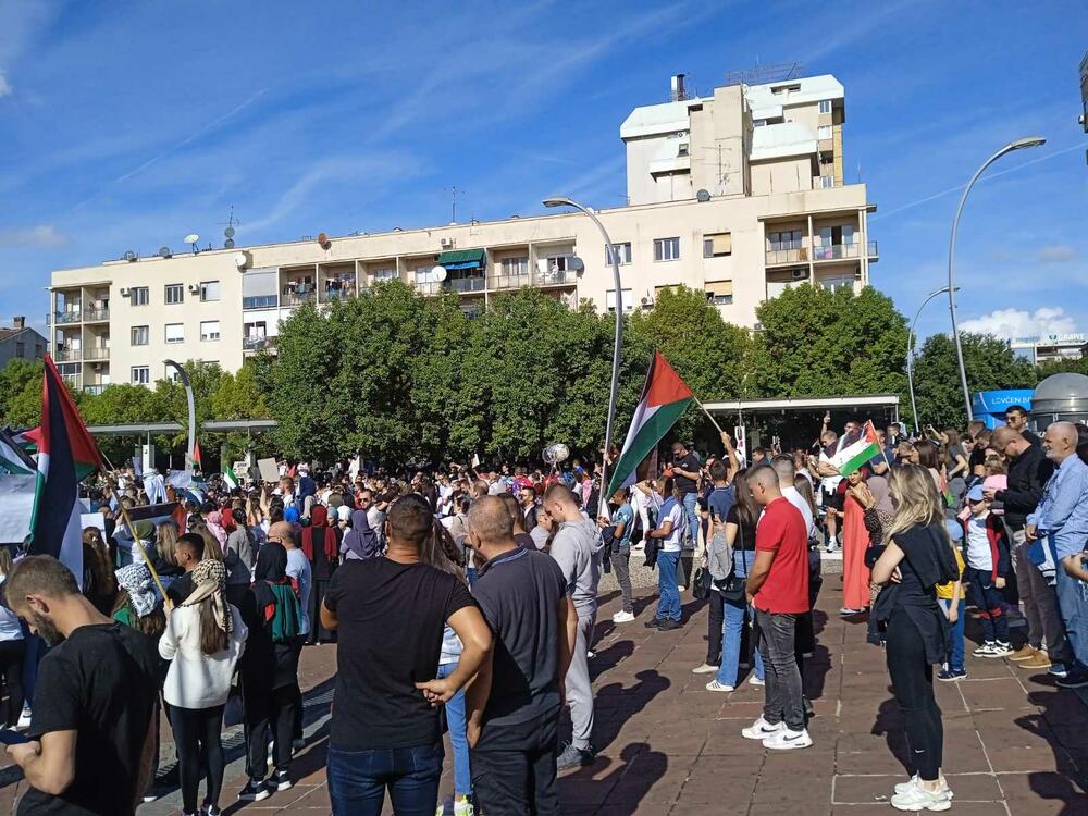 <p>Organizatori protesta su studenti i mladi iz Crnogorsko-palestinskog društva</p>