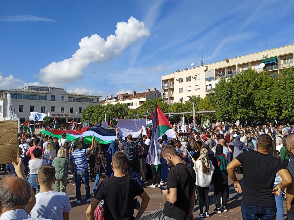 <p>Organizatori protesta su studenti i mladi iz Crnogorsko-palestinskog društva</p>