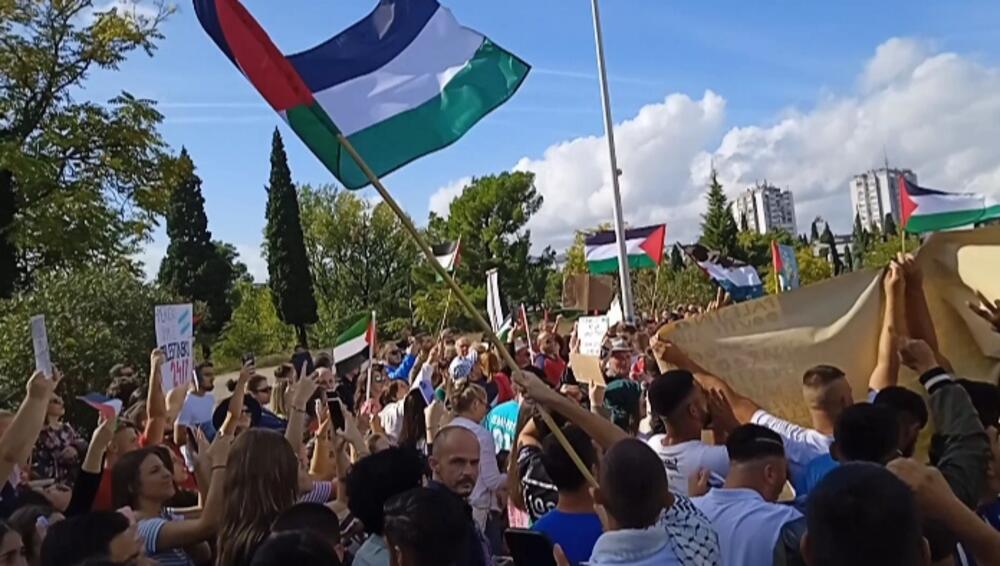 <p>Organizatori protesta su studenti i mladi iz Crnogorsko-palestinskog društva</p>