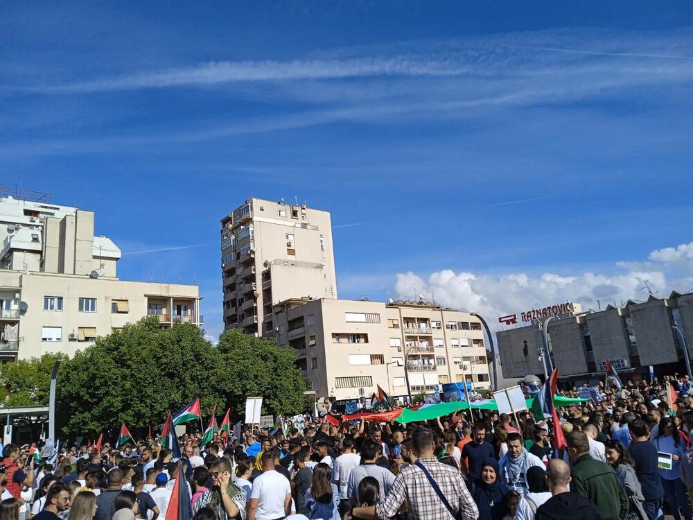 <p>Organizatori protesta su studenti i mladi iz Crnogorsko-palestinskog društva</p>