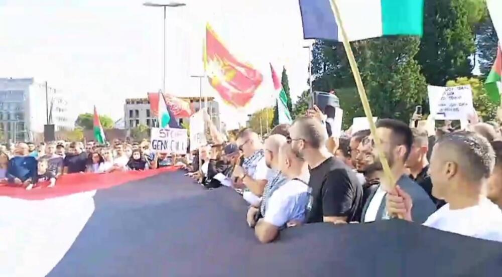 Aktivista Petar Knežević