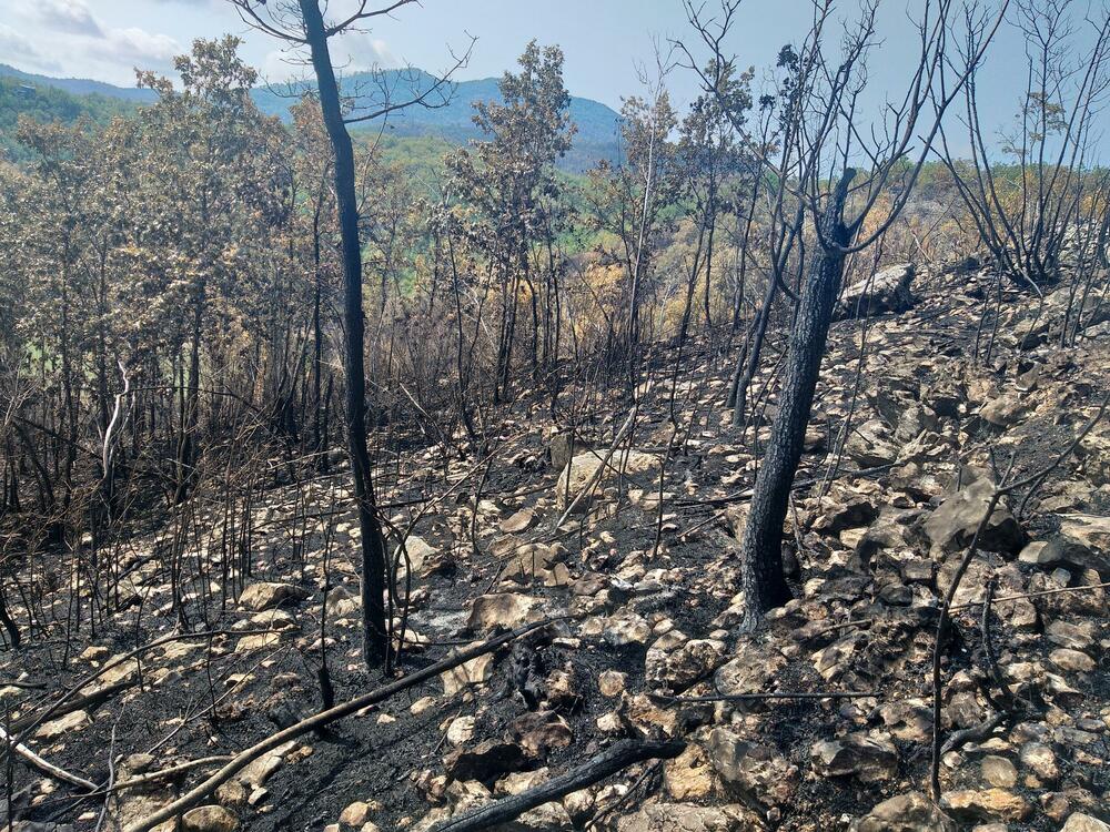 Požari ostavljaju pustoš