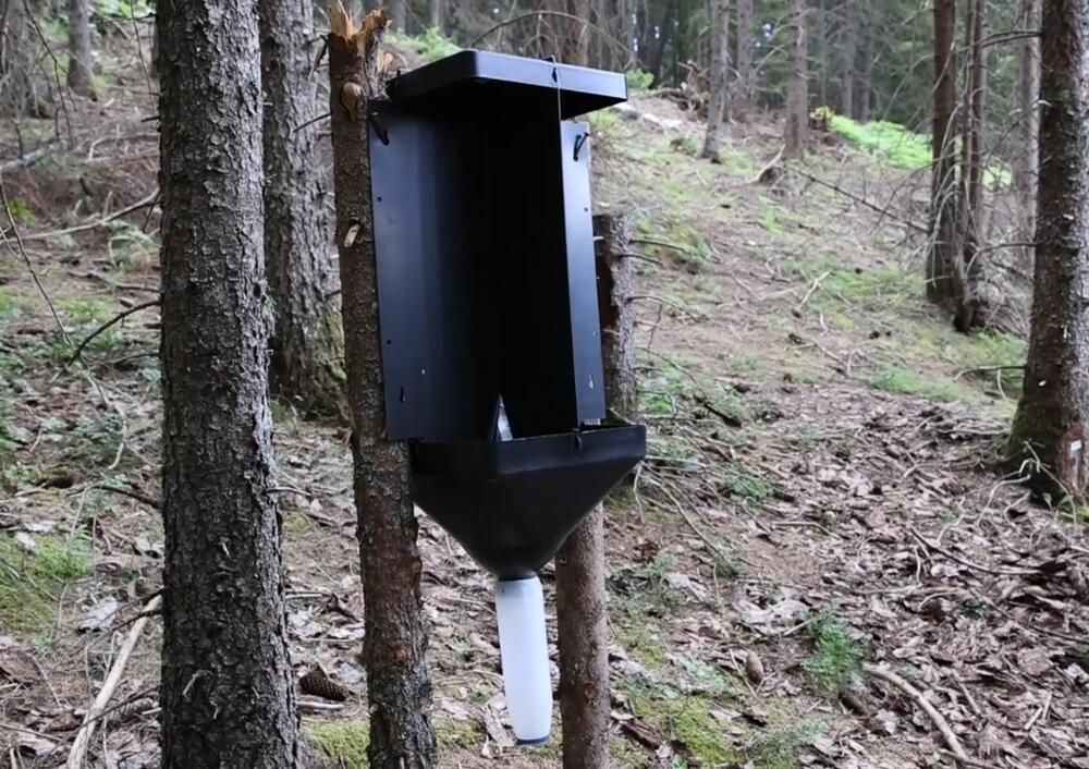 Feromonska klopka koja privlači potkornjake