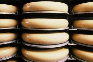 How the king of cheeses, the Swiss Emmentaler, is made