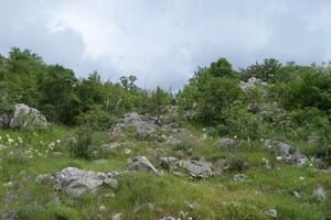They oppose the construction of a quarry on Milosevo Karst: "Our hearths...