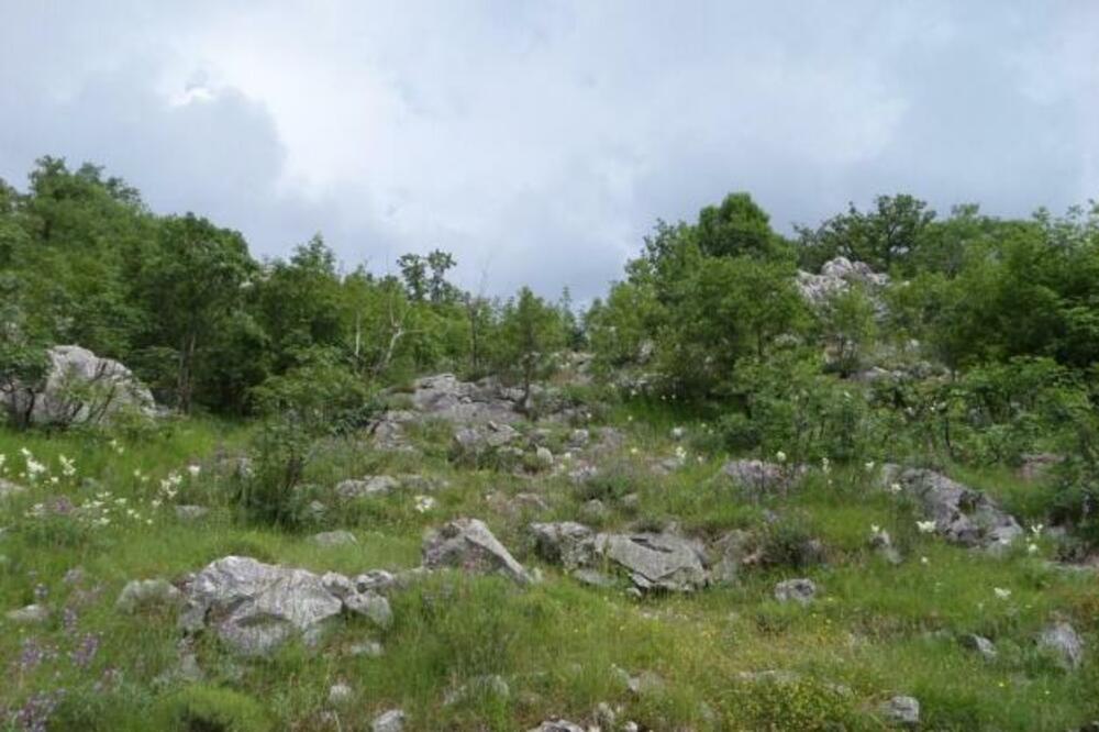 Mještani ne žele buku i zagađenje: Milošev krš, Foto: Elaborat Medix