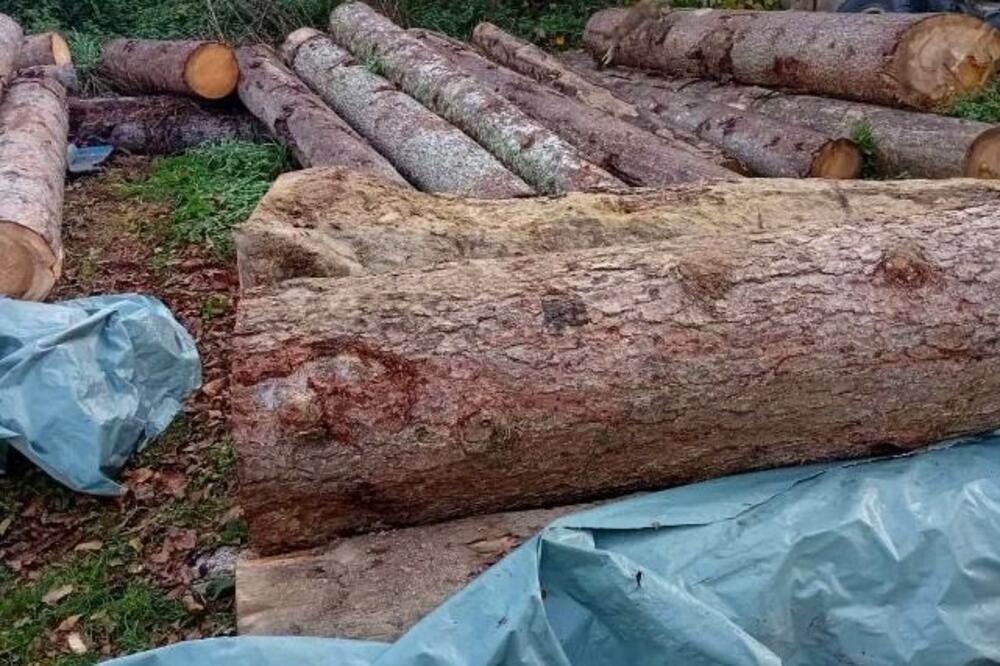 Zaplijenjeni nelegalno posječeni drvni sortimenti, Foto: Uprava policije