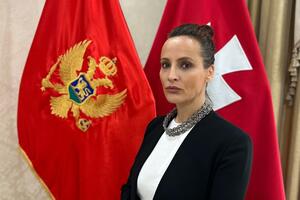 Jelena Radonjić imenovana za v.d. glavne administratorke...
