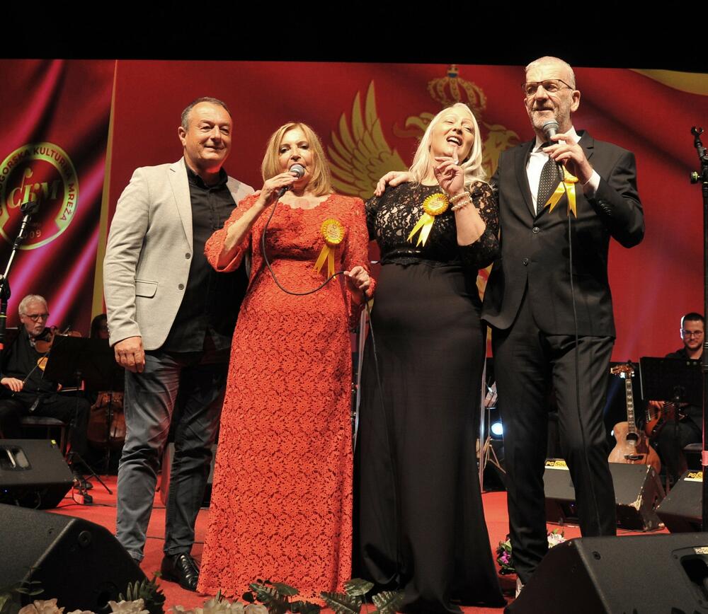 Branka Šćepanović koncert