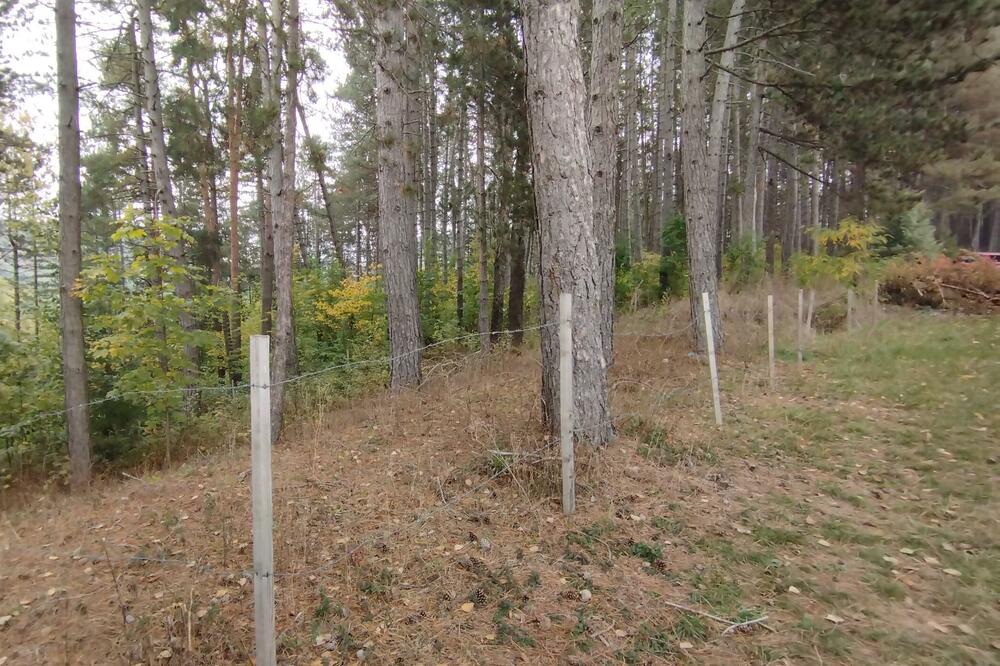 Dio park šume Dulovine, Foto: Dragana Šćepanović