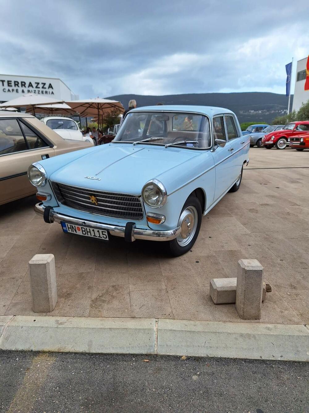 <p>Svoje &bdquo;ljubimce&ldquo; izložilo je više od 20 vlasnika iz Herceg Novog i drugih crnogorskih gradova, kao i iz Dubrovnika</p>