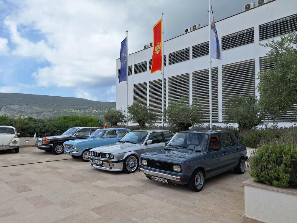 <p>Svoje &bdquo;ljubimce&ldquo; izložilo je više od 20 vlasnika iz Herceg Novog i drugih crnogorskih gradova, kao i iz Dubrovnika</p>