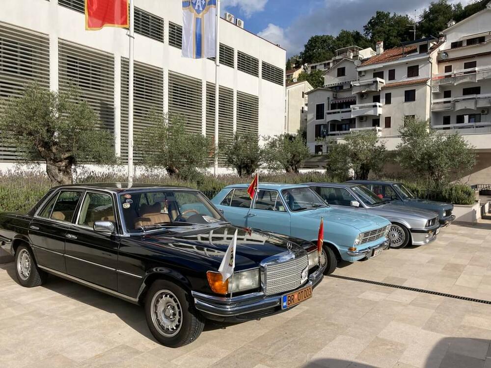 <p>Svoje &bdquo;ljubimce&ldquo; izložilo je više od 20 vlasnika iz Herceg Novog i drugih crnogorskih gradova, kao i iz Dubrovnika</p>