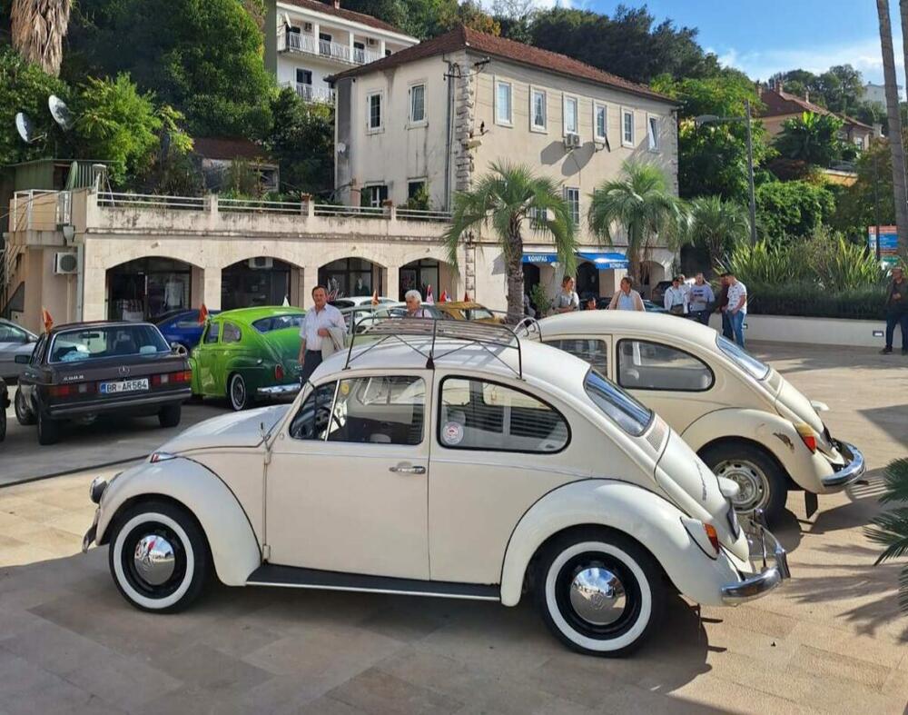 <p>Svoje &bdquo;ljubimce&ldquo; izložilo je više od 20 vlasnika iz Herceg Novog i drugih crnogorskih gradova, kao i iz Dubrovnika</p>