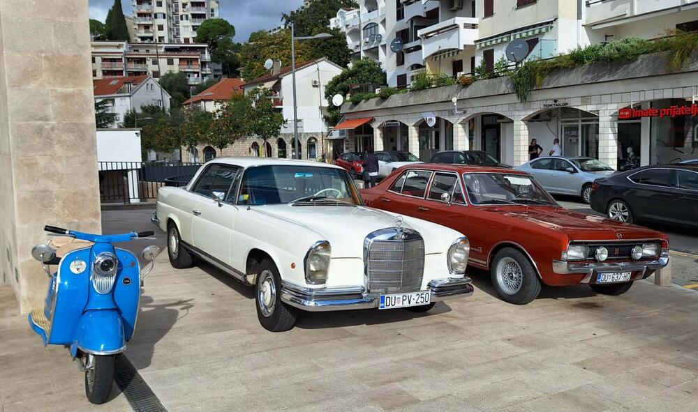 <p>Svoje &bdquo;ljubimce&ldquo; izložilo je više od 20 vlasnika iz Herceg Novog i drugih crnogorskih gradova, kao i iz Dubrovnika</p>