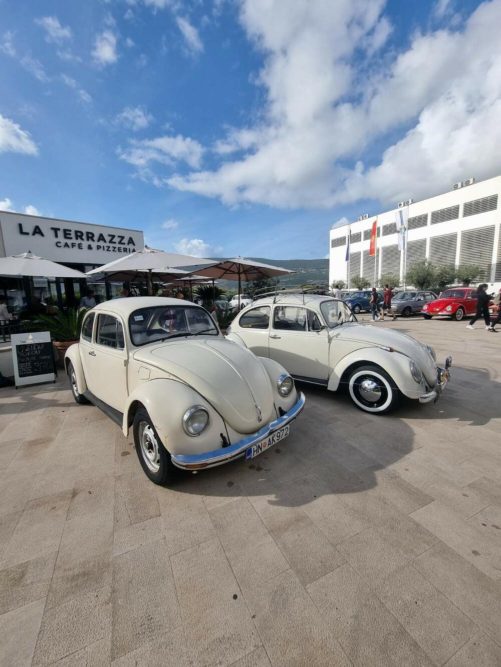 <p>Svoje &bdquo;ljubimce&ldquo; izložilo je više od 20 vlasnika iz Herceg Novog i drugih crnogorskih gradova, kao i iz Dubrovnika</p>