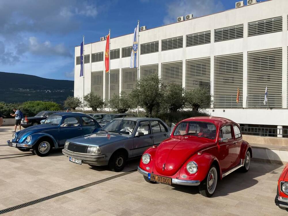 <p>Svoje &bdquo;ljubimce&ldquo; izložilo je više od 20 vlasnika iz Herceg Novog i drugih crnogorskih gradova, kao i iz Dubrovnika</p>