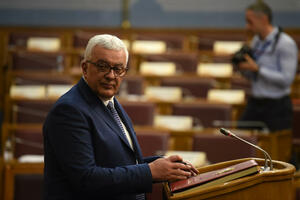 Akt o ostavkama povučen, Mandić kaže da će poštovati procedure