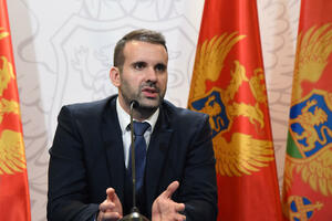 Spajić: Plan je da Crna Gora do kraja 2030. godine završi...