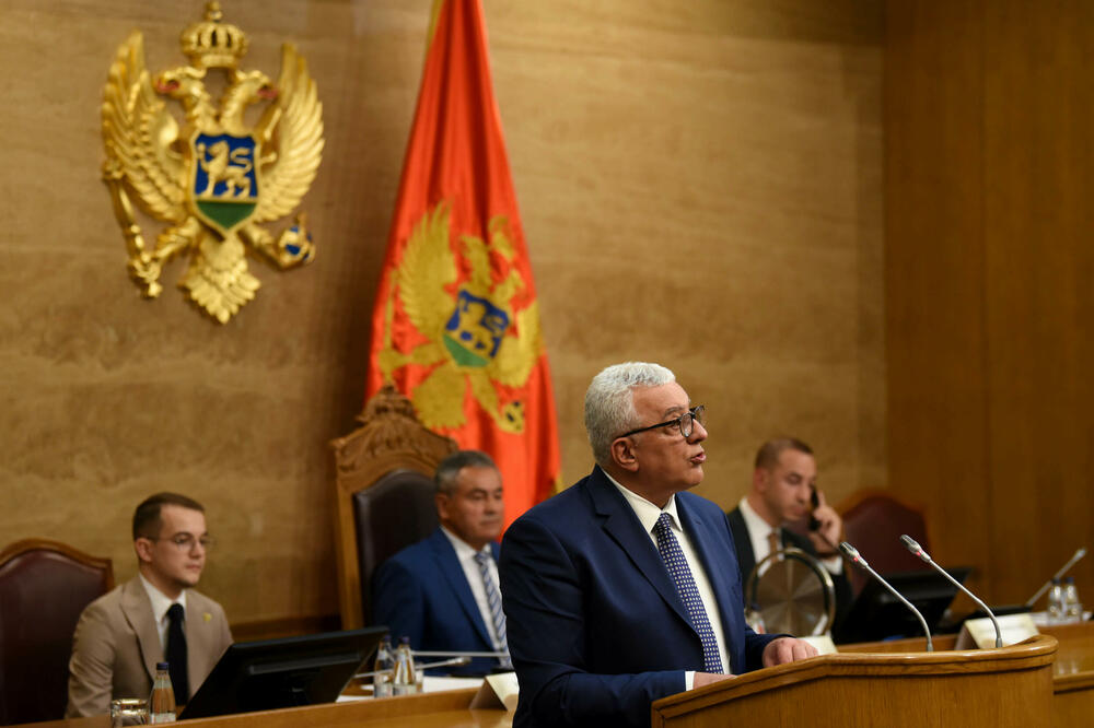 Jasno je ko je vlast, a ko opozicija: Predsjednik parlamenta Andrija Mandić, Foto: BORIS PEJOVIC
