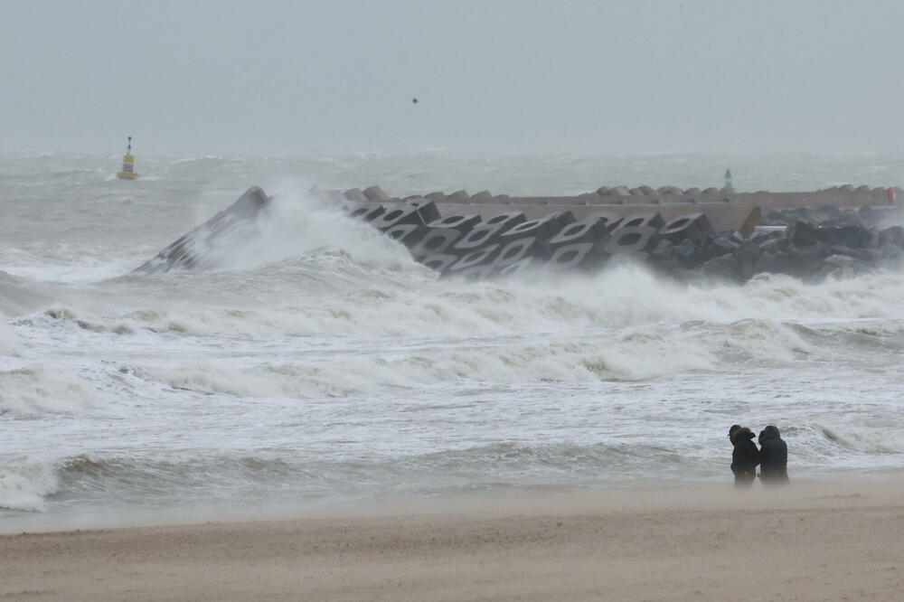 Detalj iz Belgije, 2. novembra 2023. godine, Foto: Reuters