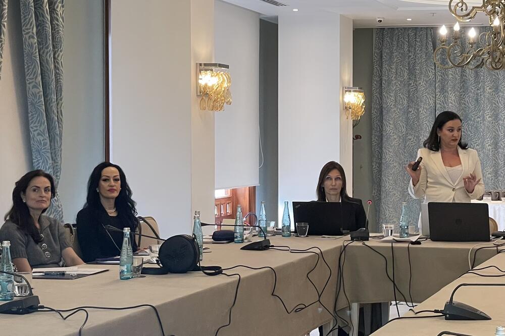 Sa sastanka, Foto: Ministarstvo finansija