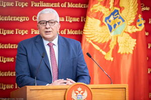 Mandić: Persist in the constant struggle for unity, reconciliation and...
