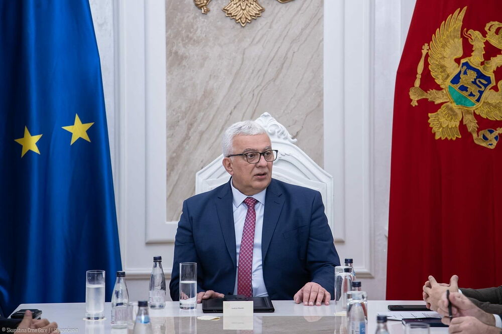 Mandić, Foto: Igor Šljivančanin/Skupština Crne Gore