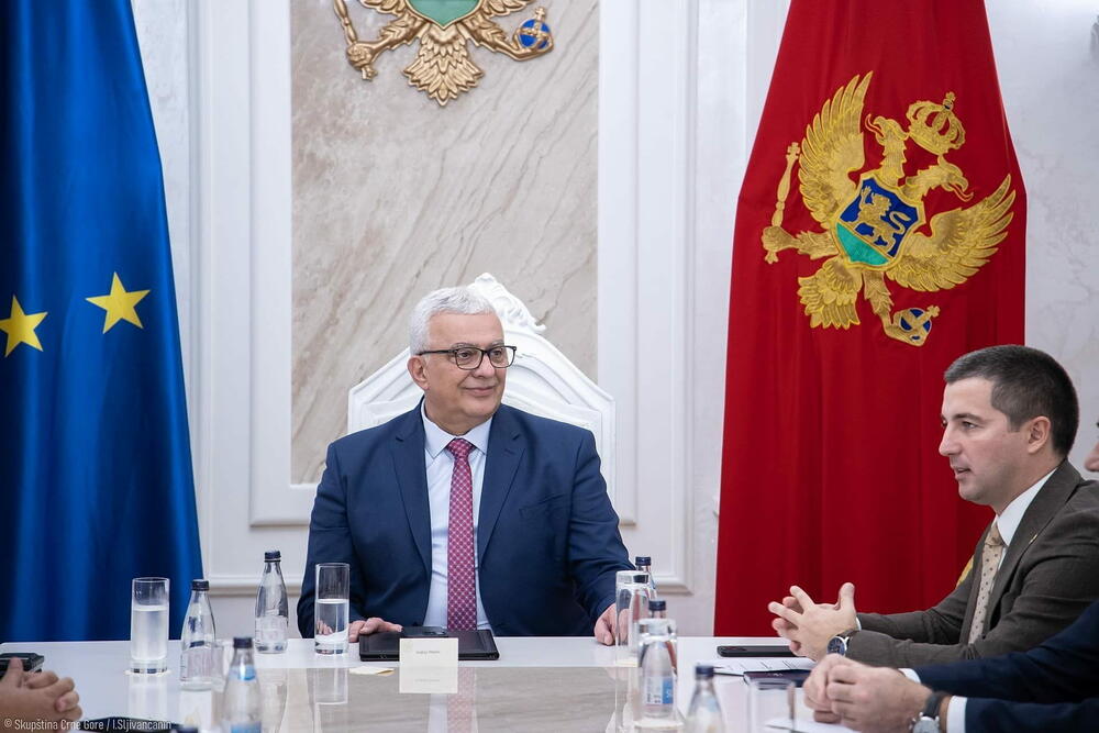 <p>"Imali smo jednu dobru ideju da dijalog u vezi sa popisom i ono što je tražila opozicija organizujemo ovdje kako bi svaka od stranaka, bilo vlasti ili opozicije, mogle da ostvare dijalog koji je neophodan kako bi se implementirao najveći dio onoga što smo čulu da se problematizuje od strane opozicije"</p>