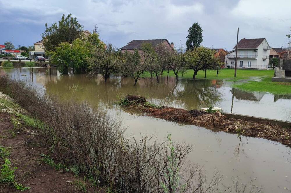 Foto: Jelena Jovanović