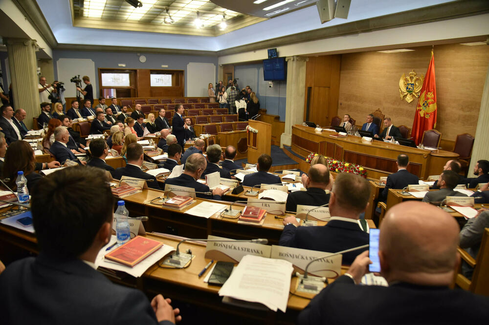 Skupština na potezu: Detalj sa nedavne sjednice parlamenta, Foto: BORIS PEJOVIC