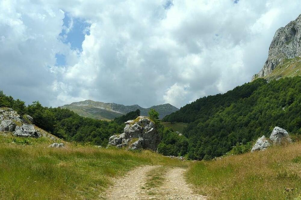 Tvrde da im lovci nanose štetu: Rovca, Foto: Privatna arhiva