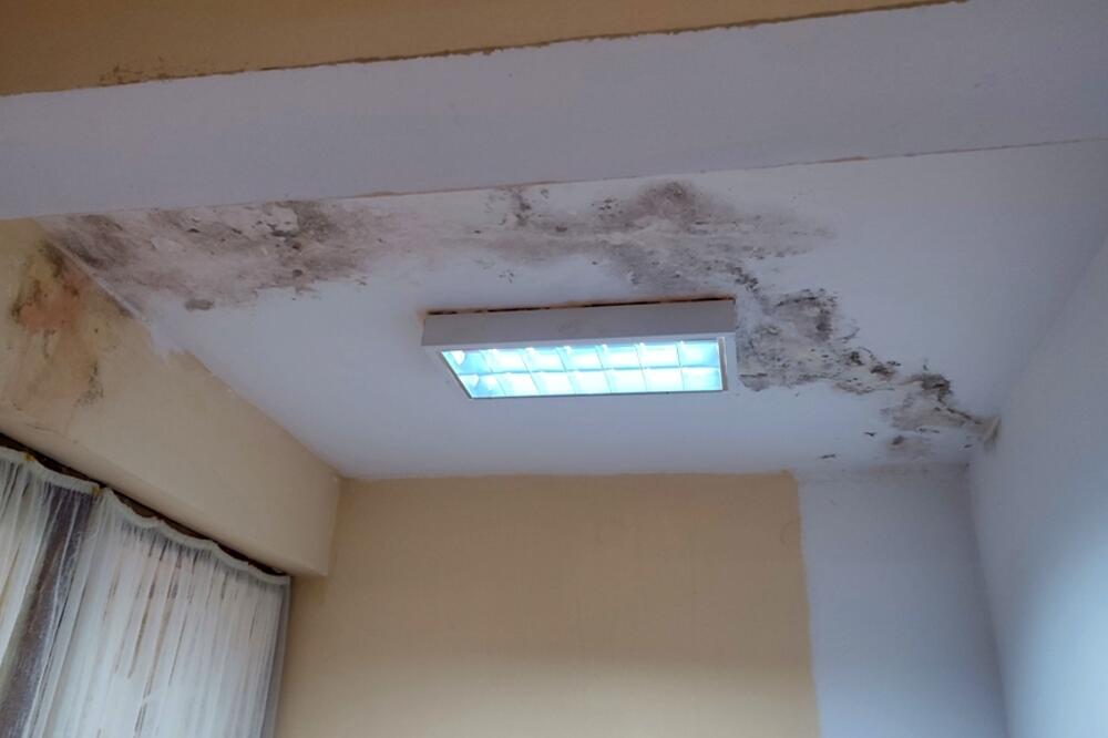 Plafon u vrtiću Sunce, Foto: Svetlana Mandić