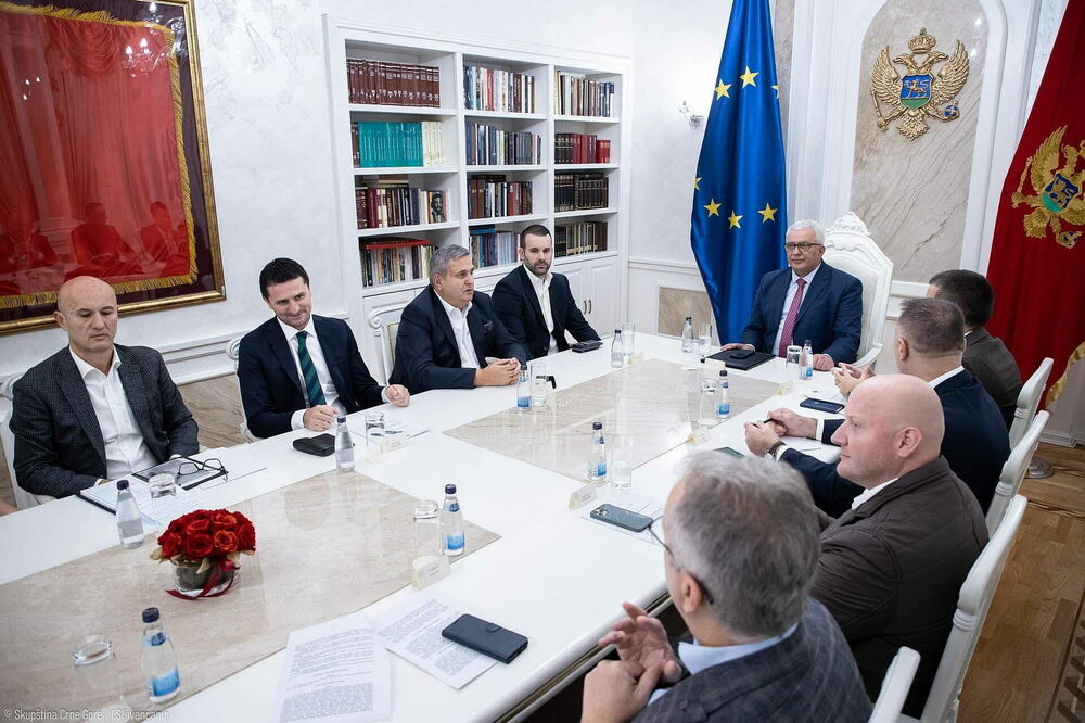 Dogovorili se o tome da Vlada pokrene izmjene zakona, Foto: Skupština