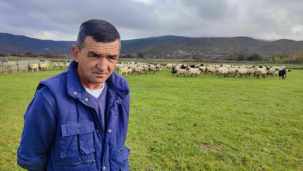 Pola nama, pola vukovima: Jovo Bećirović